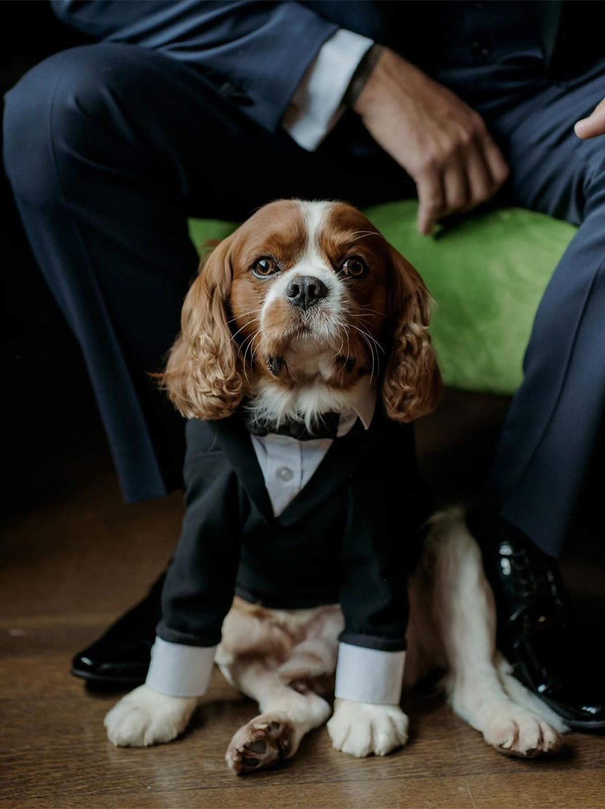 Are pets allowed at Salt House? 